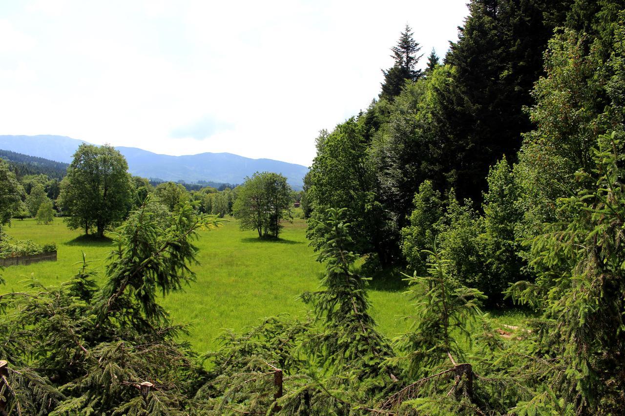 Zawoja Chaty Gorskie D4 Exterior foto